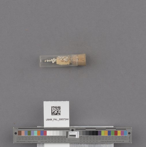 NSF ADBC EPICC TCN