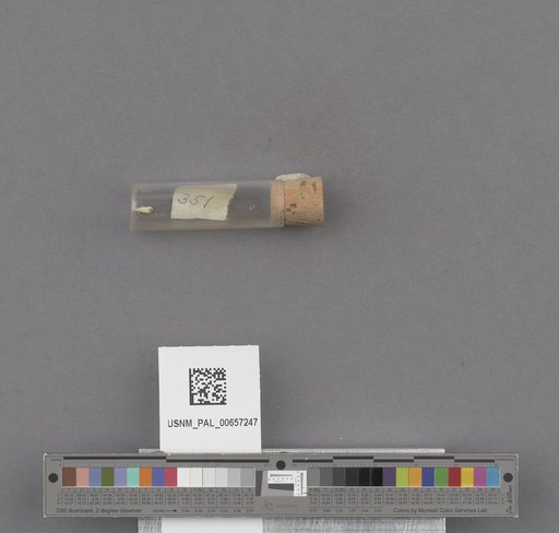 NSF ADBC EPICC TCN