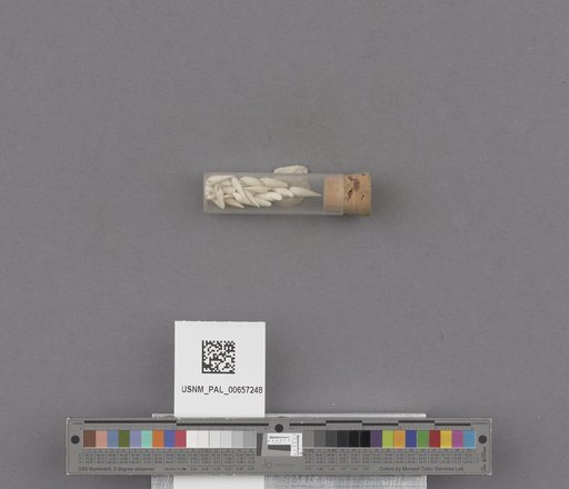 NSF ADBC EPICC TCN