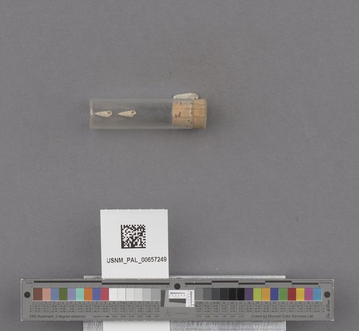 NSF ADBC EPICC TCN