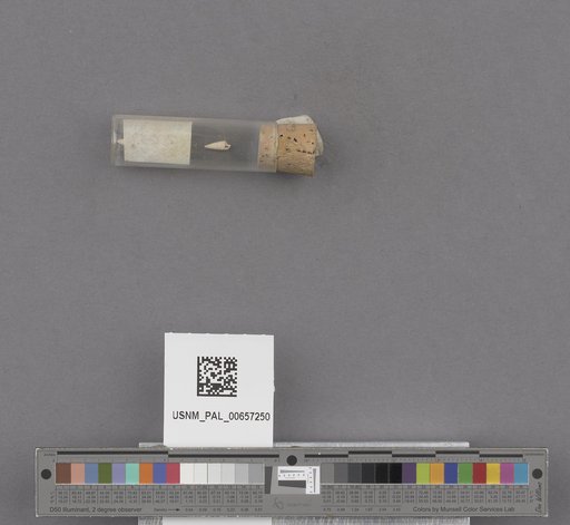 NSF ADBC EPICC TCN