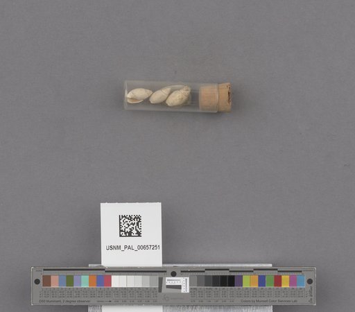NSF ADBC EPICC TCN