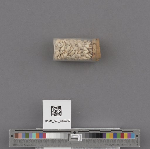NSF ADBC EPICC TCN