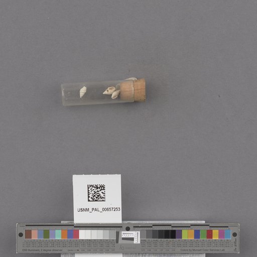 NSF ADBC EPICC TCN