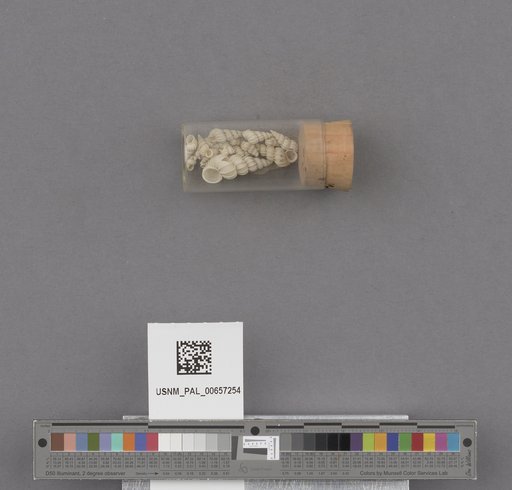 NSF ADBC EPICC TCN