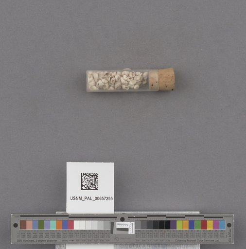 NSF ADBC EPICC TCN