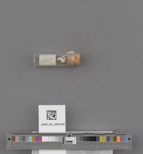 NSF ADBC EPICC TCN