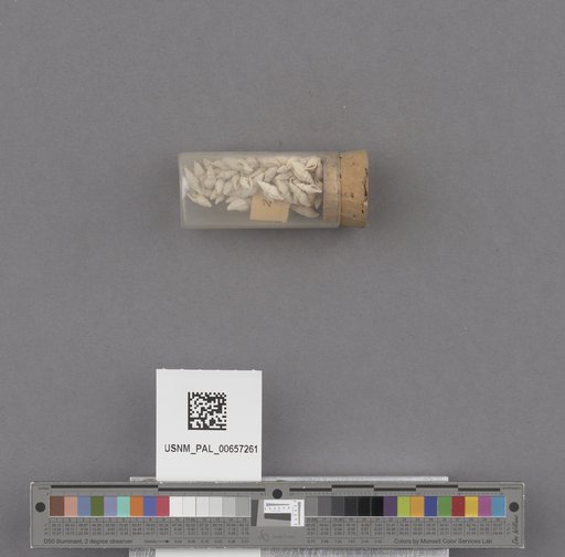 NSF ADBC EPICC TCN