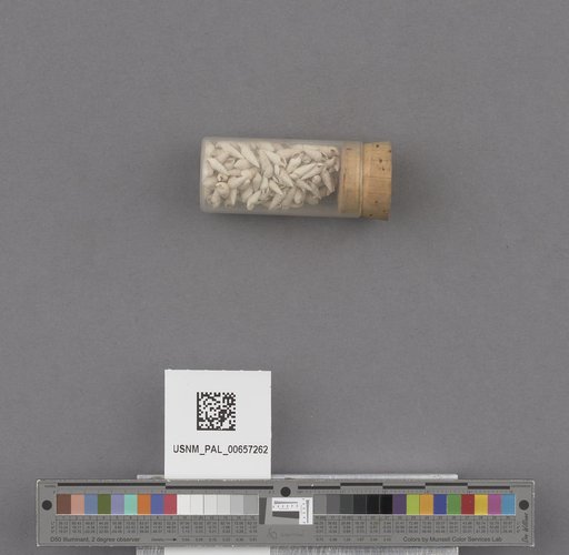 NSF ADBC EPICC TCN