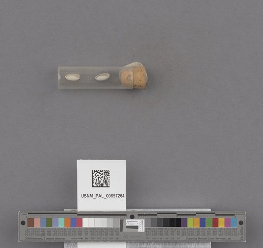 NSF ADBC EPICC TCN