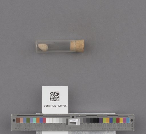 NSF ADBC EPICC TCN