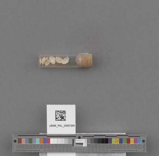 NSF ADBC EPICC TCN