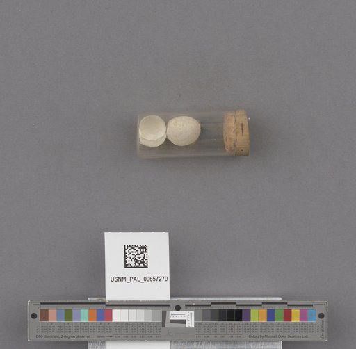 NSF ADBC EPICC TCN