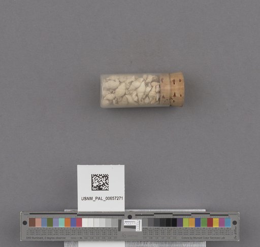 NSF ADBC EPICC TCN