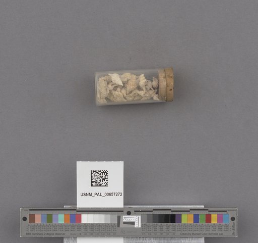 NSF ADBC EPICC TCN