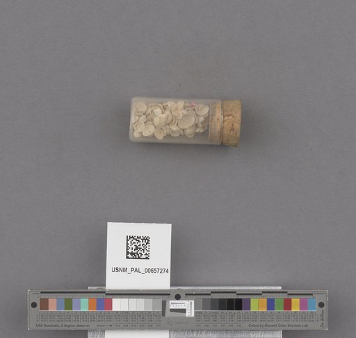 NSF ADBC EPICC TCN