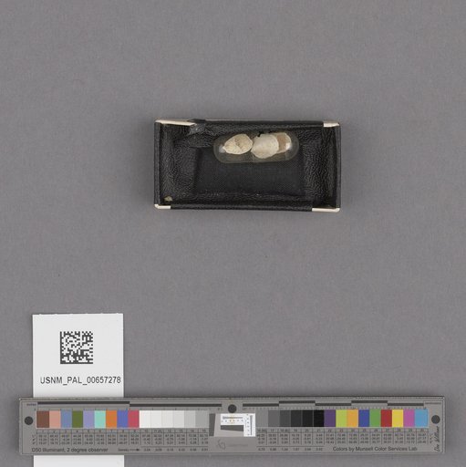 NSF ADBC EPICC TCN