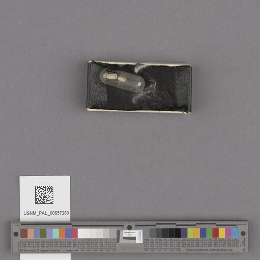 NSF ADBC EPICC TCN