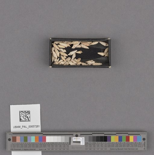 NSF ADBC EPICC TCN