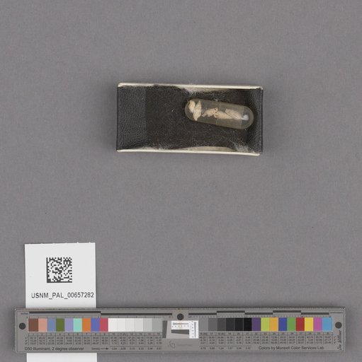 NSF ADBC EPICC TCN
