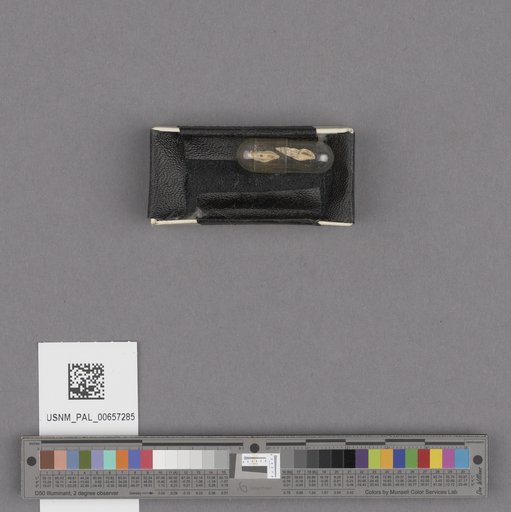NSF ADBC EPICC TCN