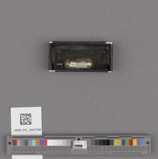 NSF ADBC EPICC TCN