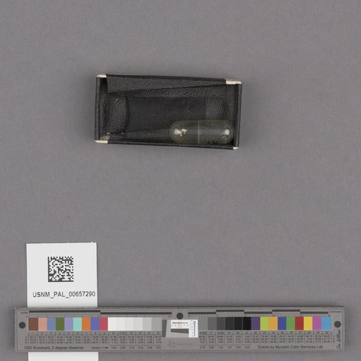NSF ADBC EPICC TCN