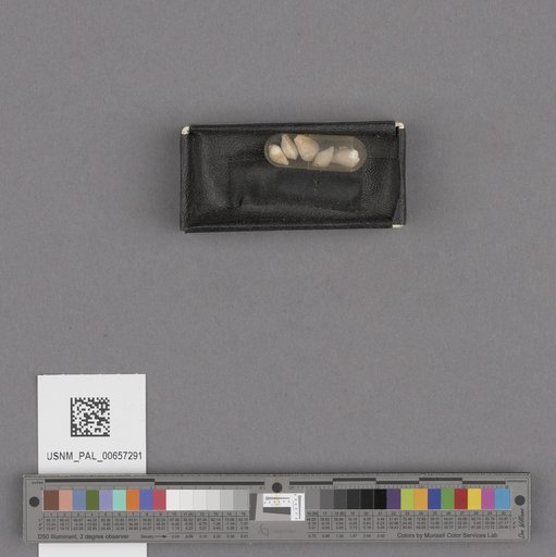 NSF ADBC EPICC TCN