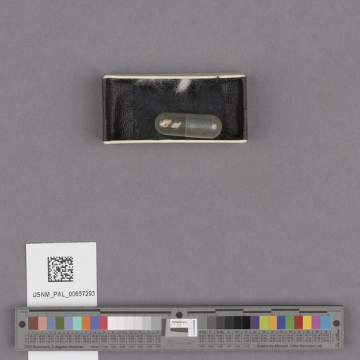 NSF ADBC EPICC TCN