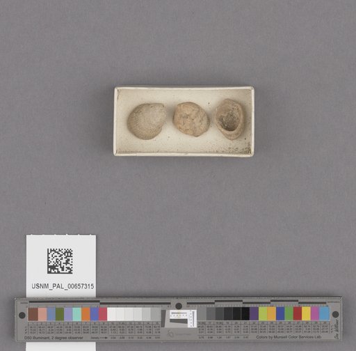 NSF ADBC EPICC TCN