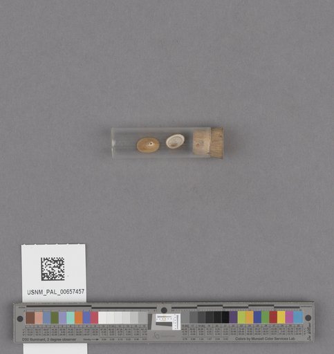 NSF ADBC EPICC TCN