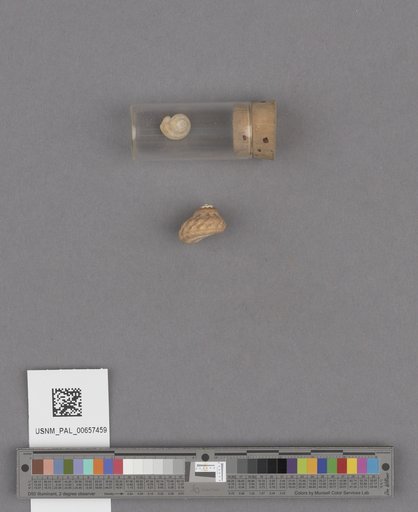 NSF ADBC EPICC TCN