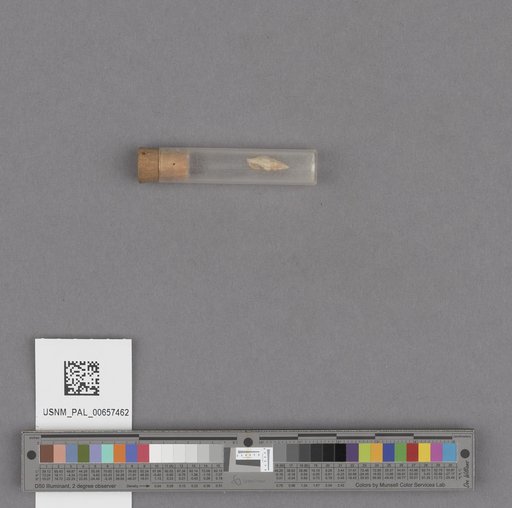 NSF ADBC EPICC TCN