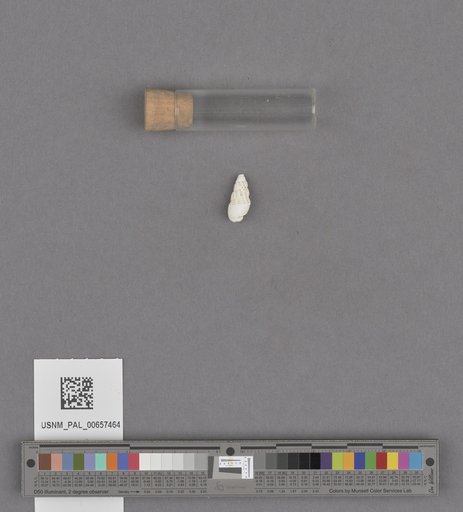 NSF ADBC EPICC TCN