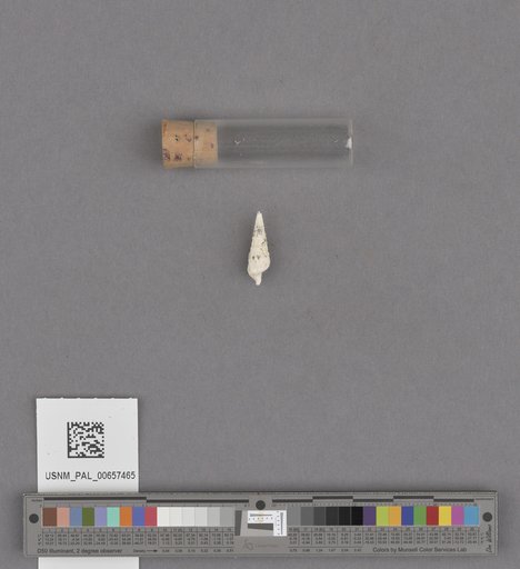 NSF ADBC EPICC TCN