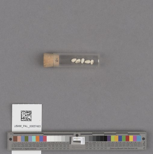 NSF ADBC EPICC TCN