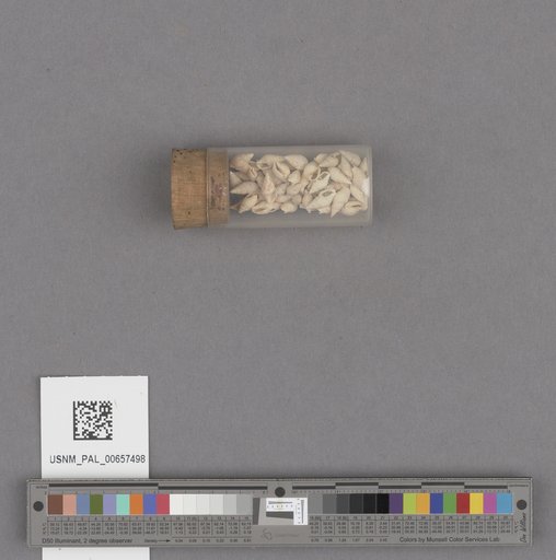 NSF ADBC EPICC TCN