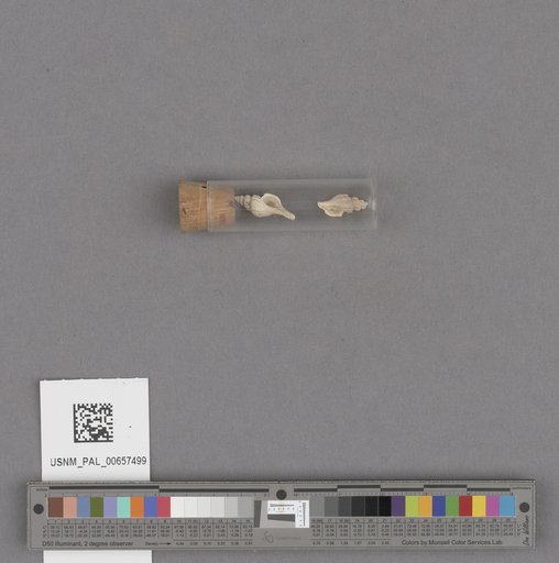 NSF ADBC EPICC TCN