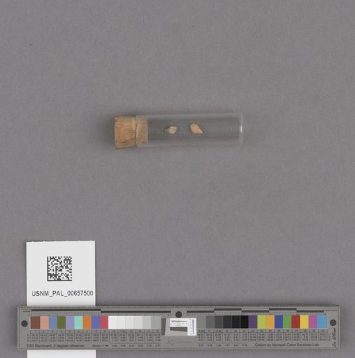 NSF ADBC EPICC TCN