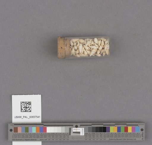NSF ADBC EPICC TCN