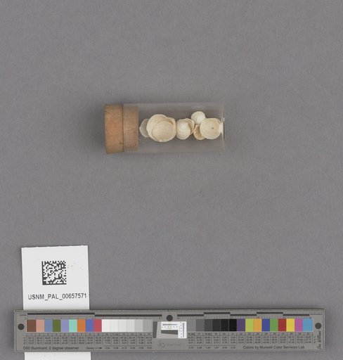 NSF ADBC EPICC TCN