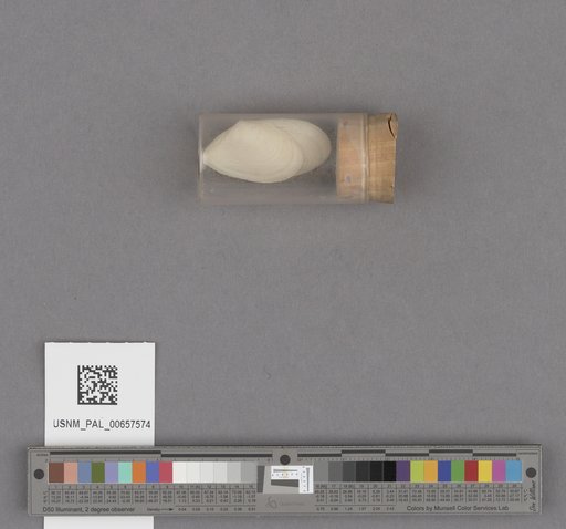 NSF ADBC EPICC TCN