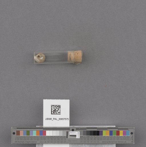 NSF ADBC EPICC TCN