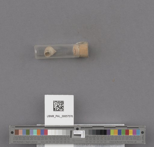 NSF ADBC EPICC TCN