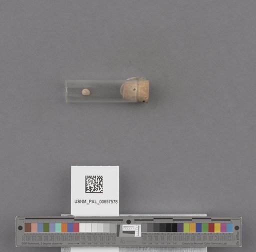 NSF ADBC EPICC TCN