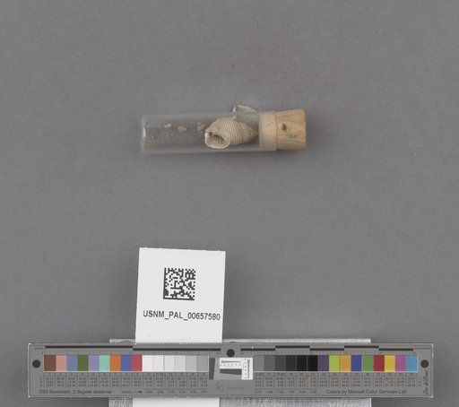 NSF ADBC EPICC TCN