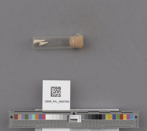 NSF ADBC EPICC TCN