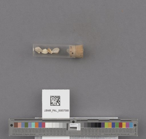 NSF ADBC EPICC TCN