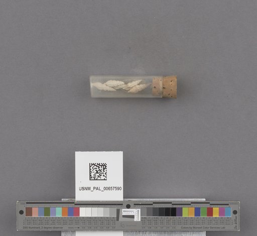 NSF ADBC EPICC TCN