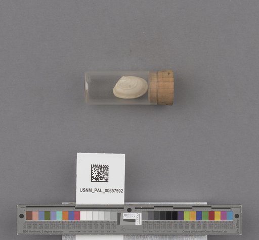 NSF ADBC EPICC TCN